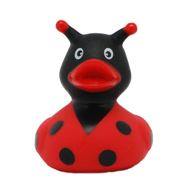 Lady Bug Rubber Duck – Killarney Duck Store